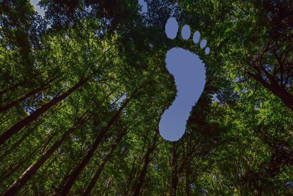 A low-angle view of a dense, lush green forest canopy with a large, sky-blue footprint shape cut out of the leaves overhead, symbolising a carbon footprint or environmental impact.