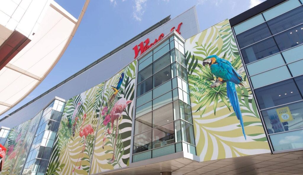 Vibrant mural featuring tropical birds, Bespoke Window Graphics Westfield